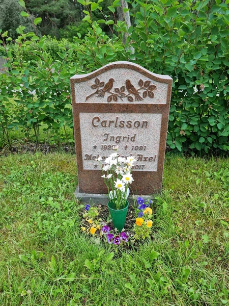 Grave number: 2 08   66