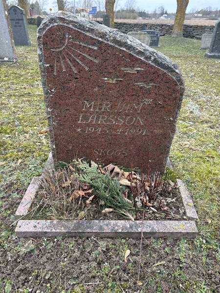 Gravnummer: LE   444