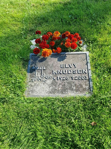 Gravnummer: 1 01  469