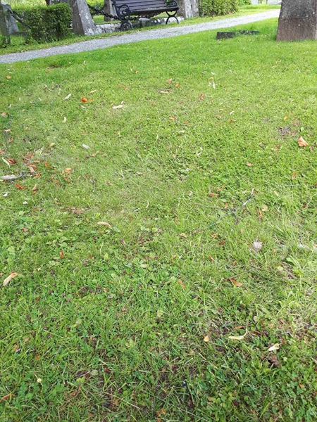 Hautatunnus: GK A 4   142V