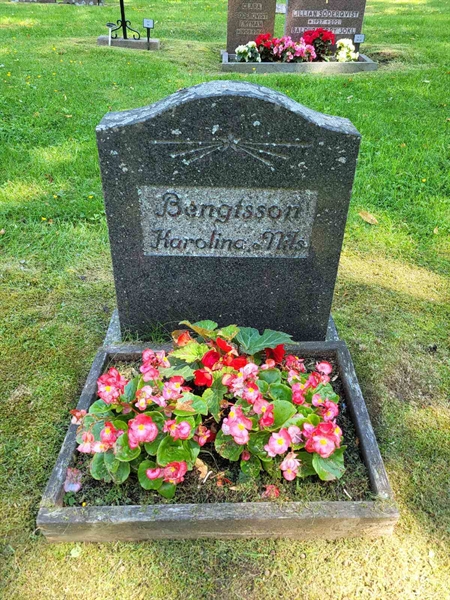 Grave number: Jä 06   166