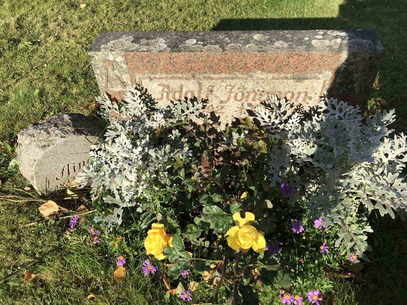 Grave number: ÅR B   215, 216