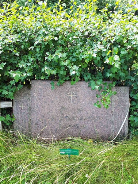 Gravnummer: GK F 5   531