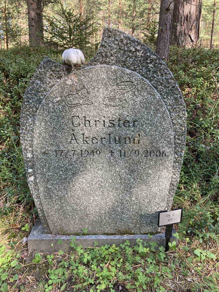Hautatunnus: SK C 127