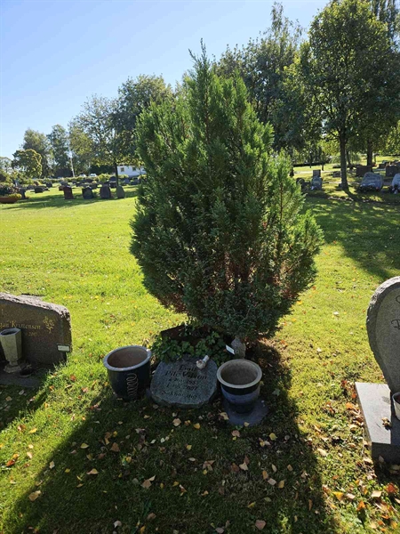 Grave number: Fr 7   621
