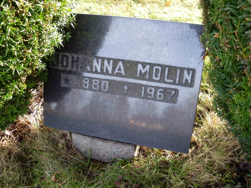 Grave number: HÖB NA05    81