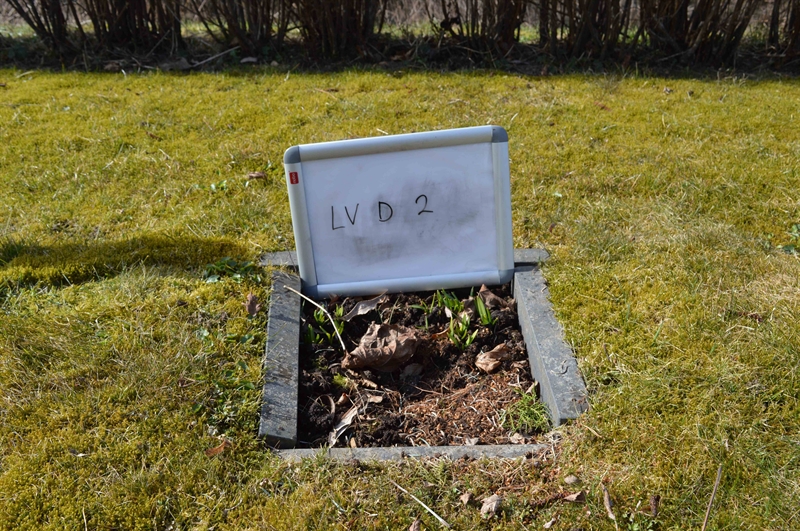 Grave number: LV D     2