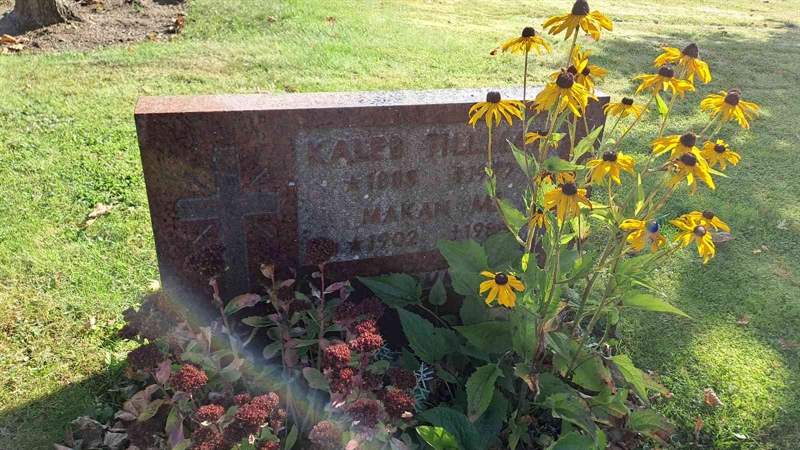 Grave number: 2 B 10    10-11