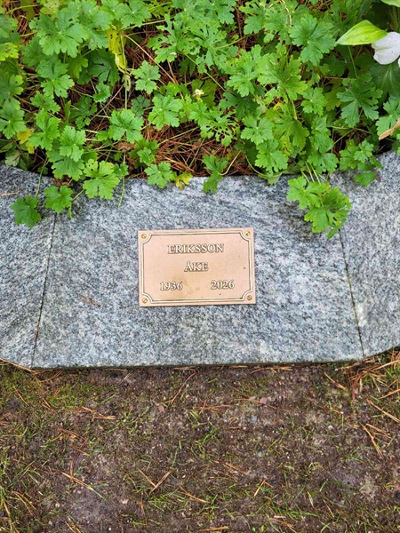 Grave number: H AG   245-246