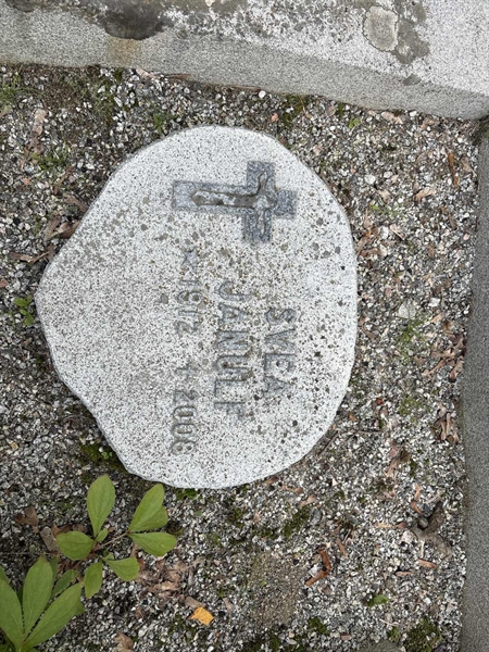 Hautatunnus: IN 01   246