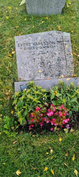 Grave number: M H   84