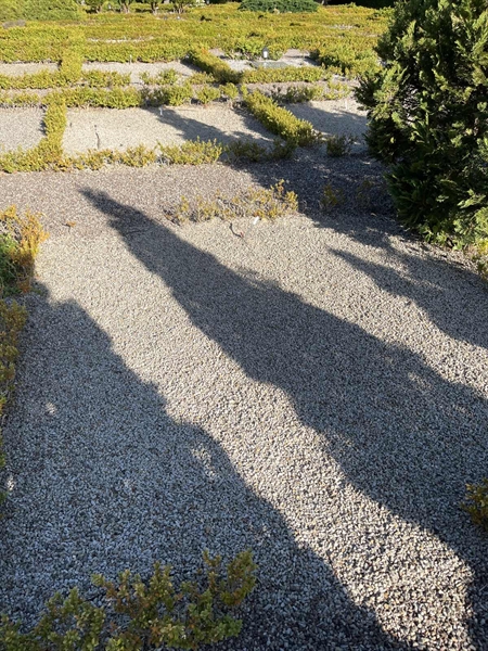 Grave number: NK E 42-43