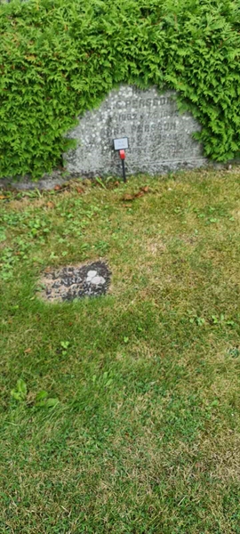 Grave number: M V  211, 211a