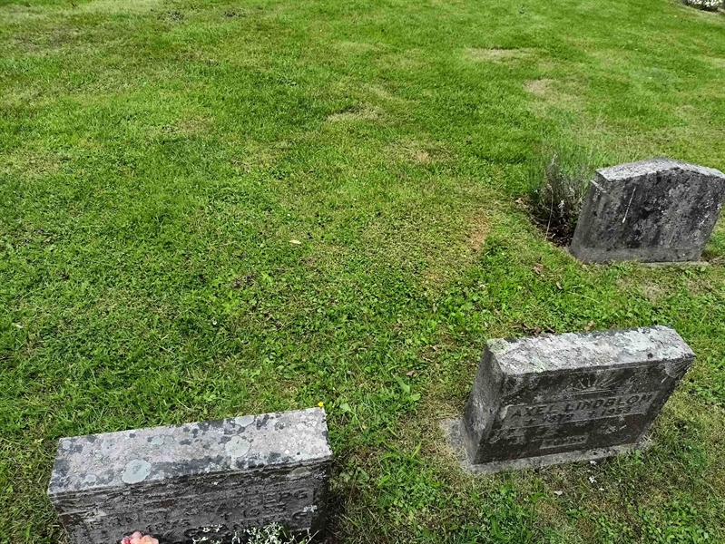 Gravnummer: 1 Ö 31   157V