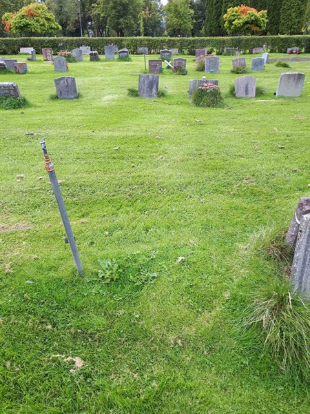 Hautatunnus: NK F B   772