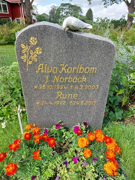 Gravnummer: 1 C   220