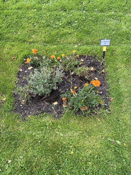 Hautatunnus: 2 C   136