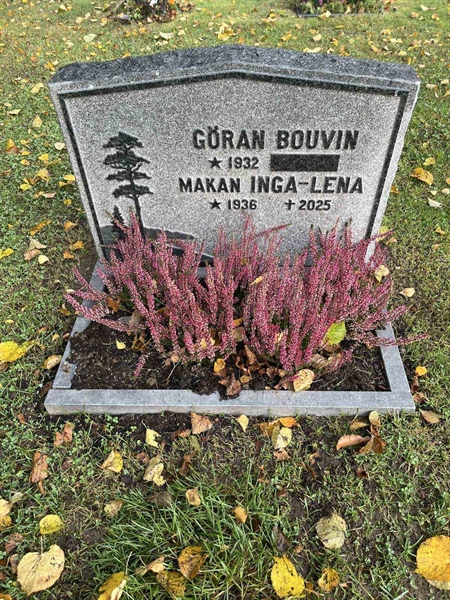 Gravnummer: 1 01   241