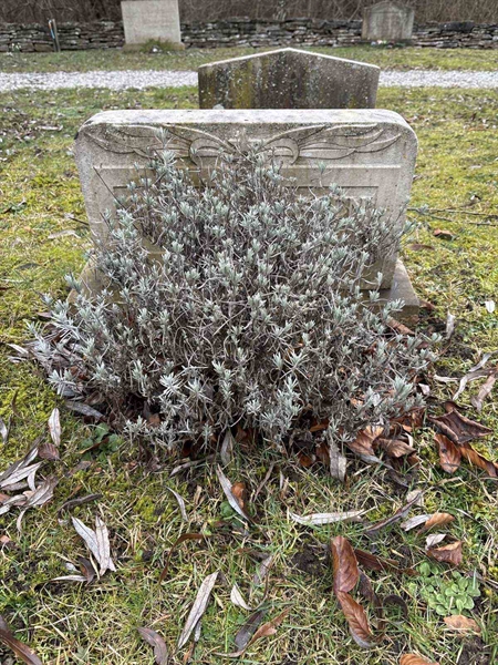 Grave number: L A 58, 59