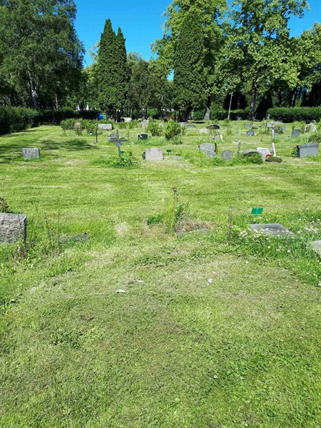 Hautatunnus: GK A 5   142M