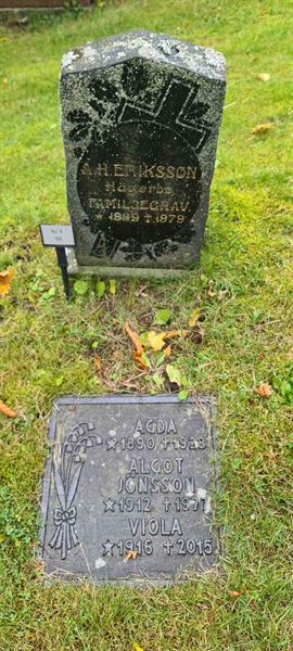 Grave number: M V  180