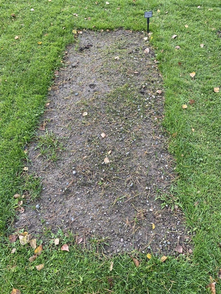 Gravnummer: 2 G    93