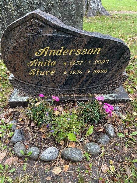 Grave number: 3 15  1854