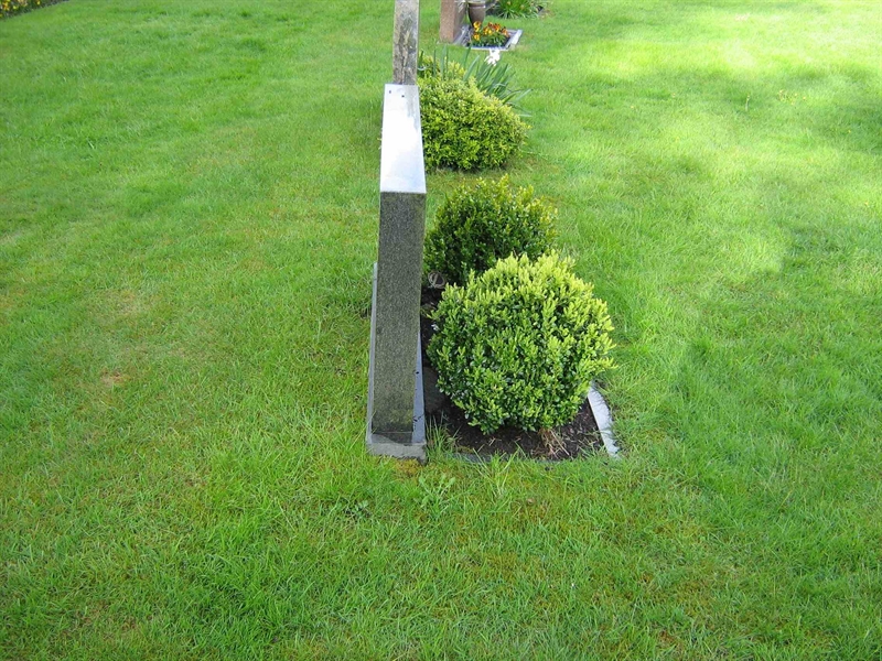 Hautatunnus: ÖK 04    656-657