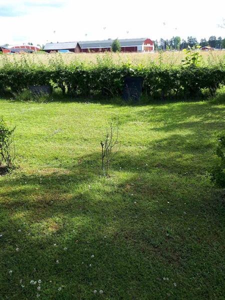 Grave number: GK F 5   470