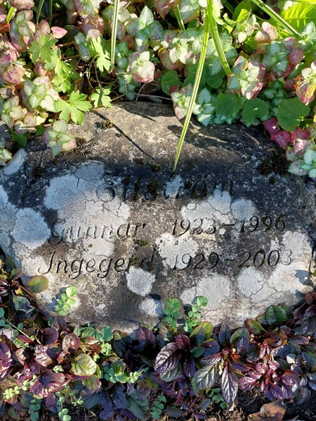 Hautatunnus: 1 L   088