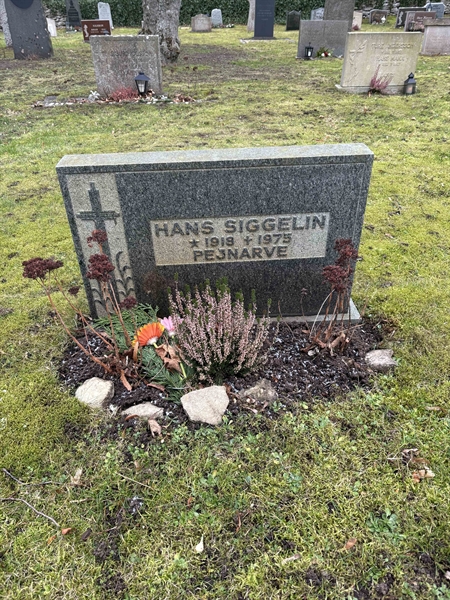 Gravnummer: LE   308