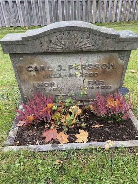 Gravnummer: 6 03     35, 36