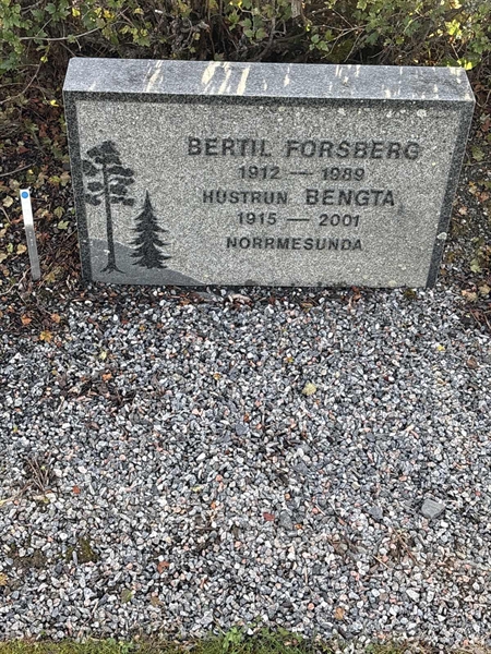 Grave number: 4 N ND   214