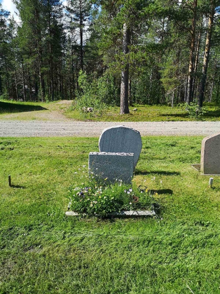 Hautatunnus: PK   462