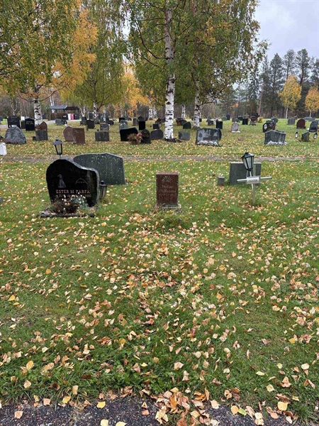 Hautatunnus: NK 17    85