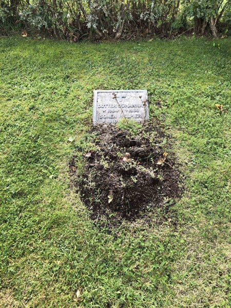 Grave number: 3 G    13