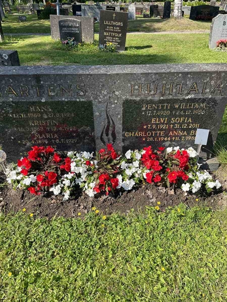 Gravnummer: N 5 2   244