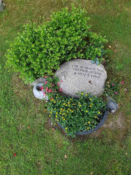 Grave number: 01  2631