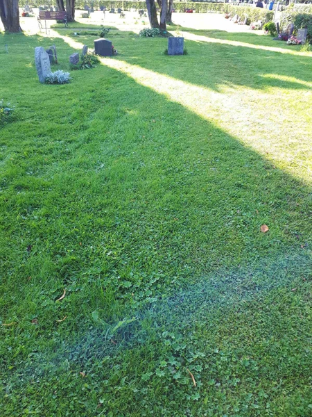 Gravnummer: NK A A   391