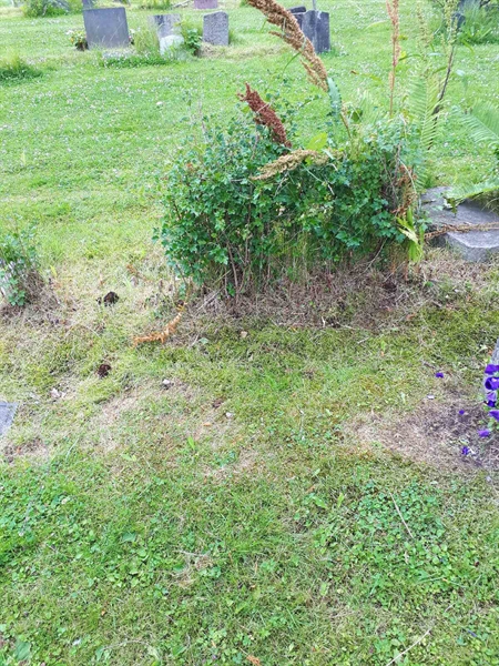 Grave number: GK A 5   222M