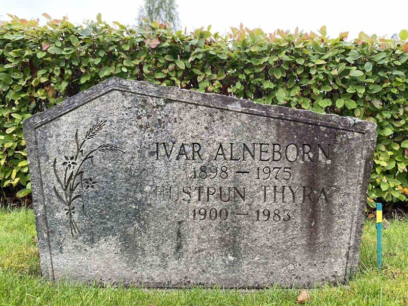 Grave number: 1 18    142, 143, 144