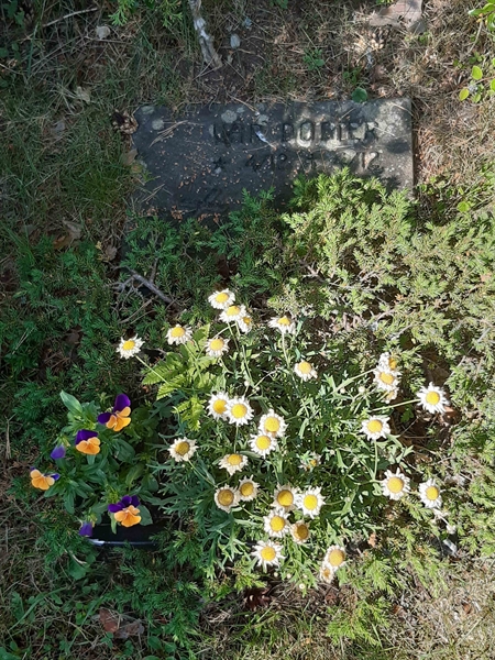 Grave number: VI 01   635