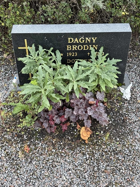 Grave number: 4 N ND   303