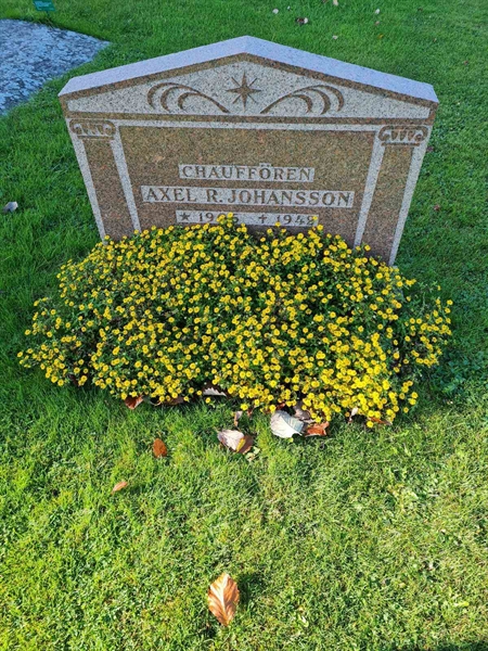 Grave number: KG 09   585