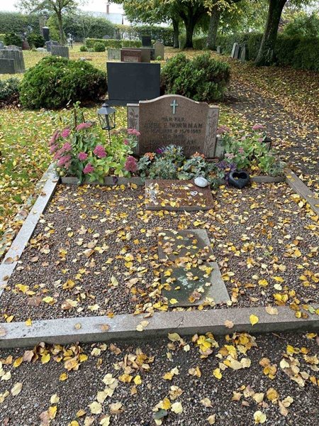 Grave number: ÖV B    42