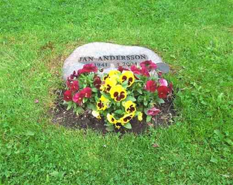 Grave number: SN U8    38