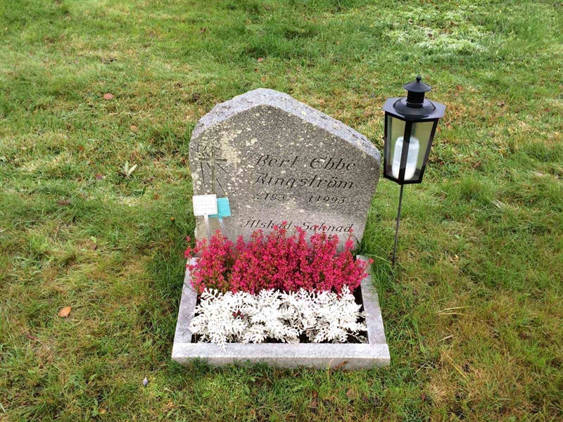 Grave number: 3 1550