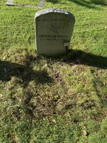 Grave number: 2 H    11