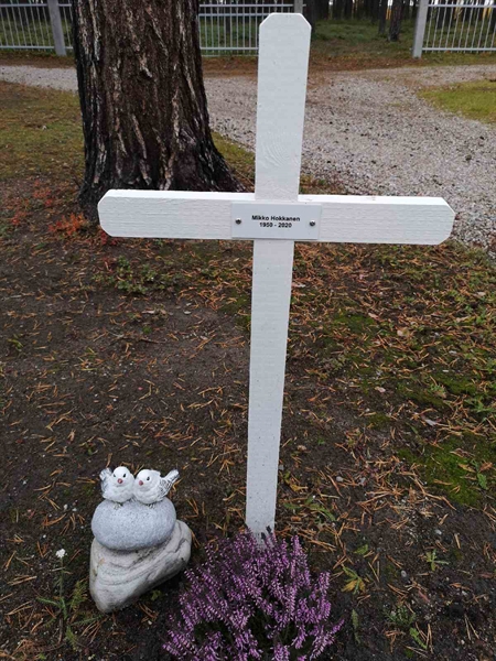 Hautatunnus: VLM 12    81