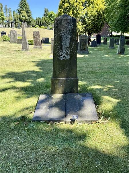 Grave number: TR 3 3    62